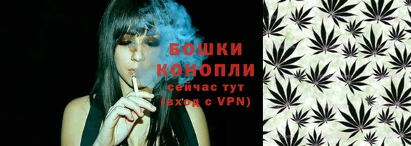 шишки Лиски