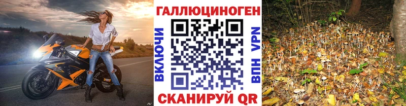 Галлюциногенные грибы MAGIC MUSHROOMS  Курчалой 